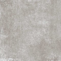 Entis gris