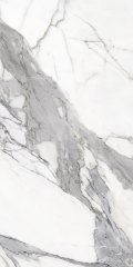 Calacatta White