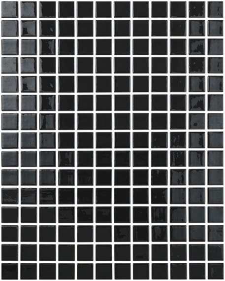 Liso Negro puntos 900