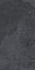 Ardesia noir