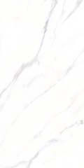 Appolo White