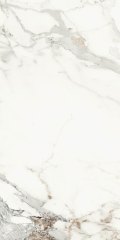 AE CAP6 12 LP