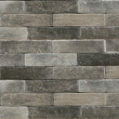 Brickwall Tortora