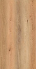 Ana Plank Cerezo