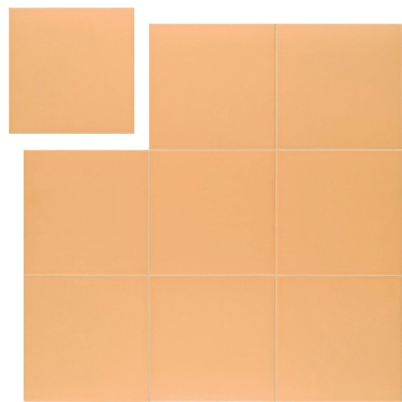 Technical Tangerine