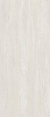 Dorset Blanco