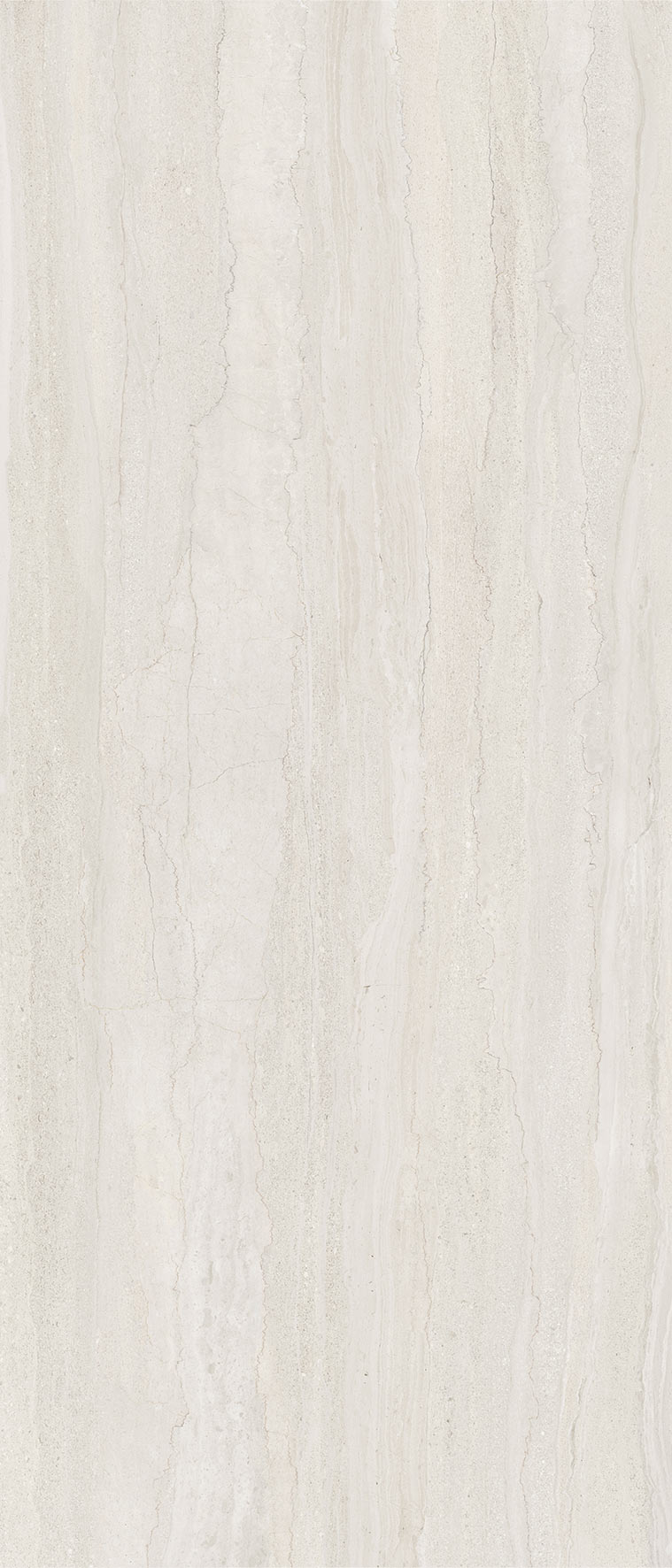 Dorset Blanco