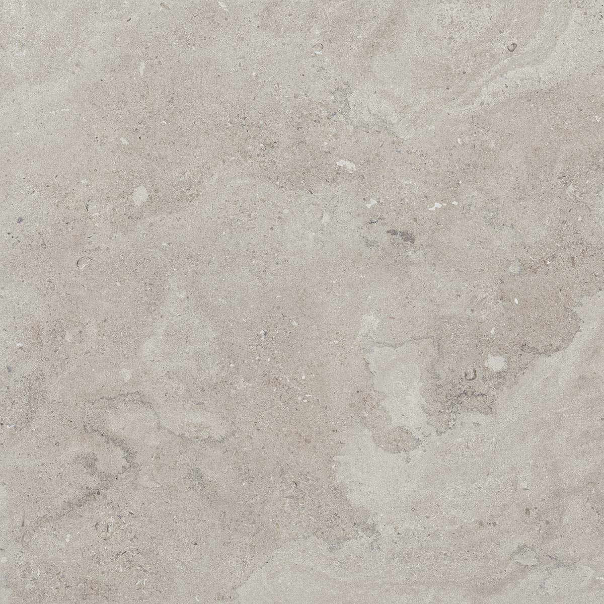 Portlandstone Gris mat