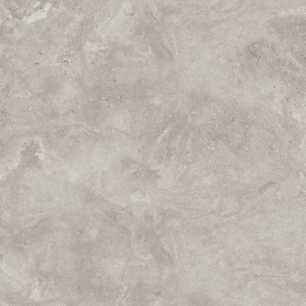 Portlandstone Gris mat