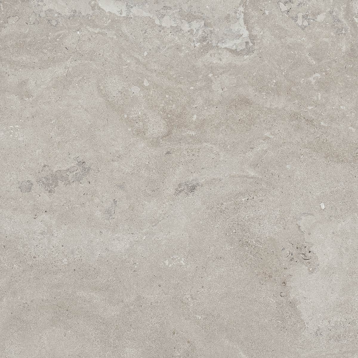 Portlandstone Gris mat