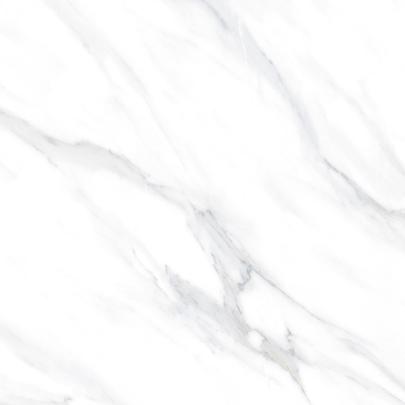 Swizer White