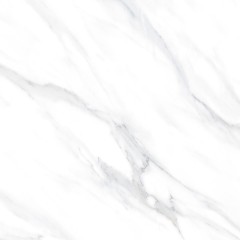 Swizer White