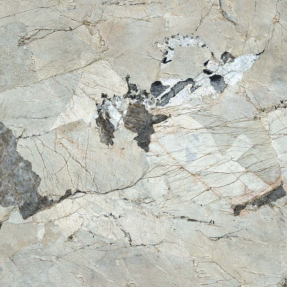 Patagonia White