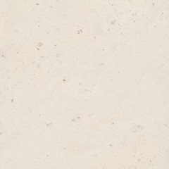 SHELL6 120