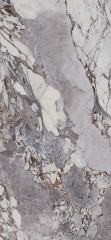 AE UNI6 278 LP