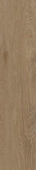 Oak 6651 Vancuver