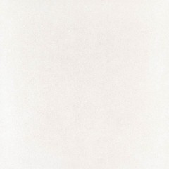 Core White