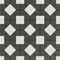 Tesserae Suit B&W plus