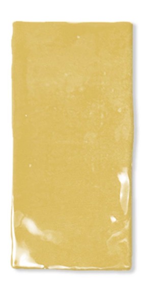Fez Mustard gloss