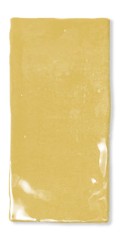 Fez Mustard gloss