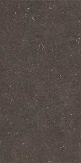 Vincen Aanthracite