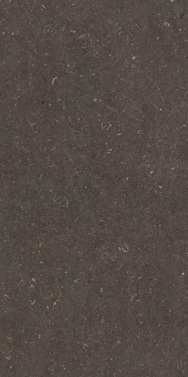 Vincen Aanthracite