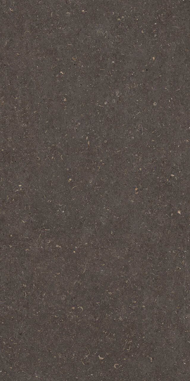 Vincen Aanthracite
