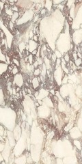 Calacatta Viola Soft