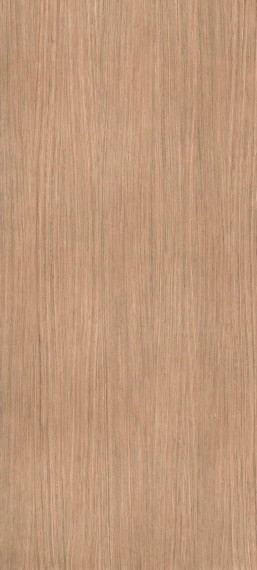 Nature M Plank 01 mptv